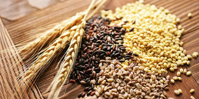 Phân Biệt Sữa Thực Vật Và Bột Ngũ Cốc