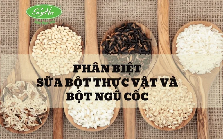 Phân biệt Sữa Thực Vật và Bột Ngũ Cốc 