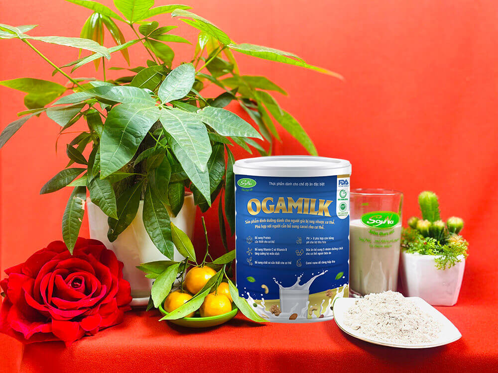Thành phần chính của Sữa hạt Ogamilk Soyna 800g