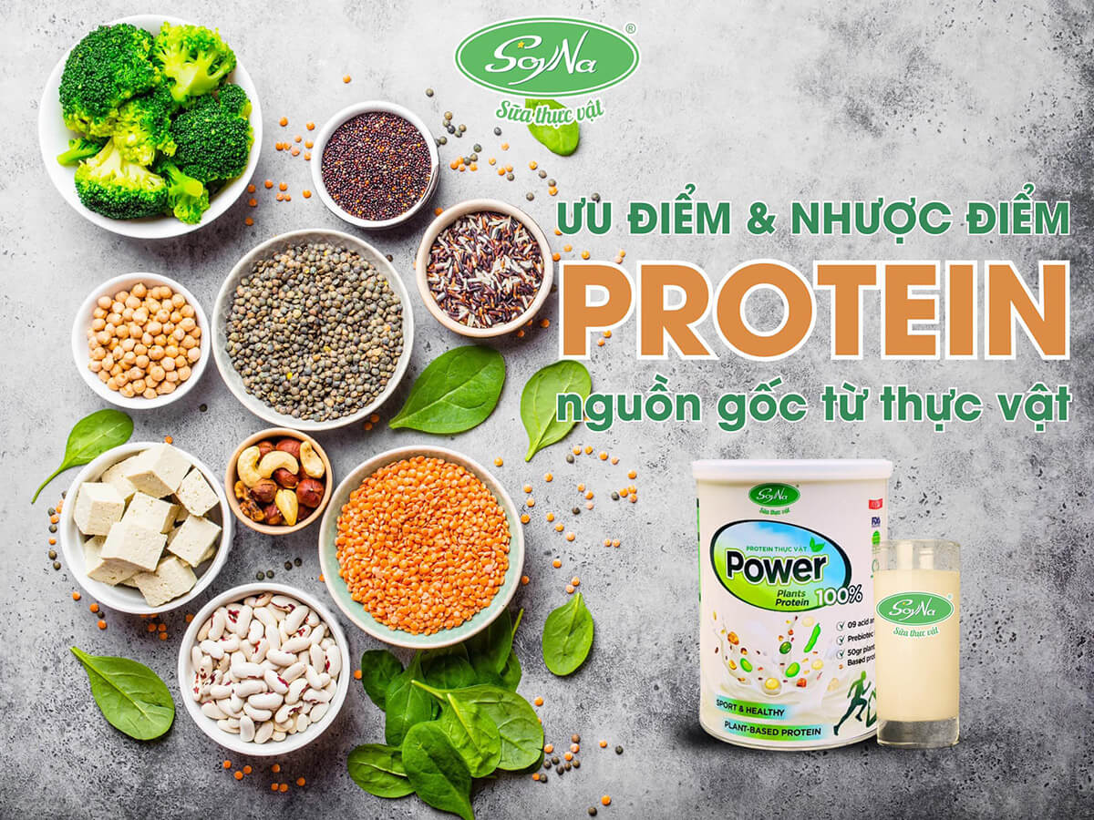 Thực phẩm bổ sung Protein Power Soyna